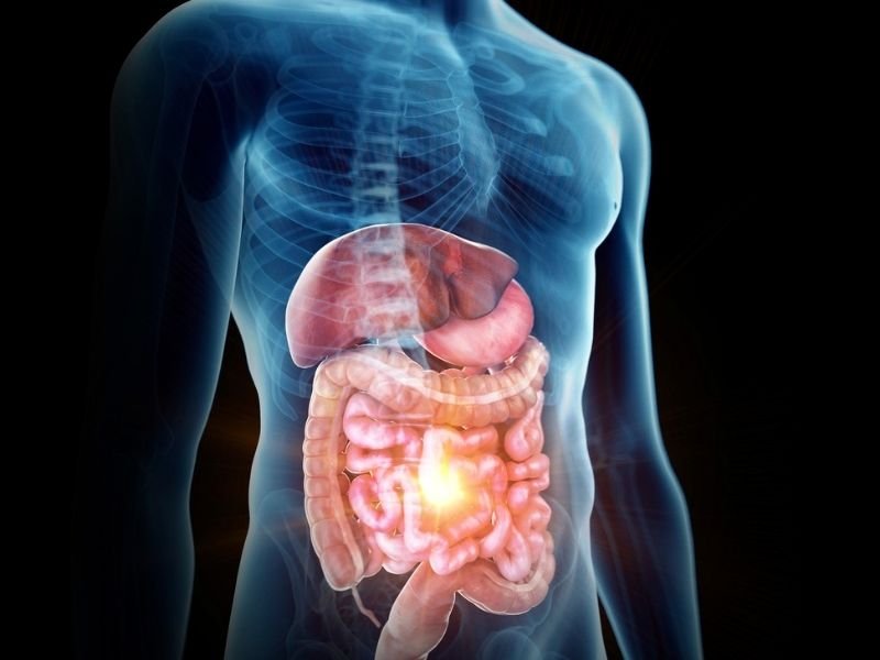 Cirurgia para Doenca do Refluxo em Curitiba