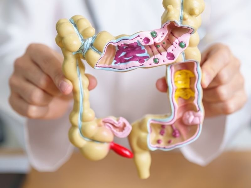 Condicoes do Trato Gastrointestinal em Curitiba