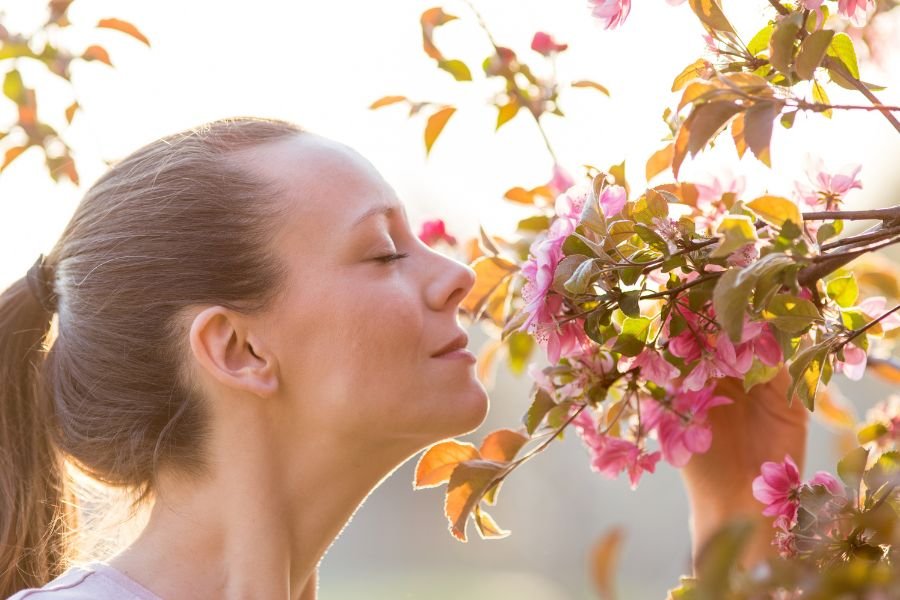 Prurido Anal em Curitiba O que fazer quando a coceira se torna cronica
